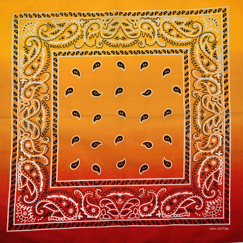 Fashion Unisex Black Paisley H - Bandana Blank White review and price