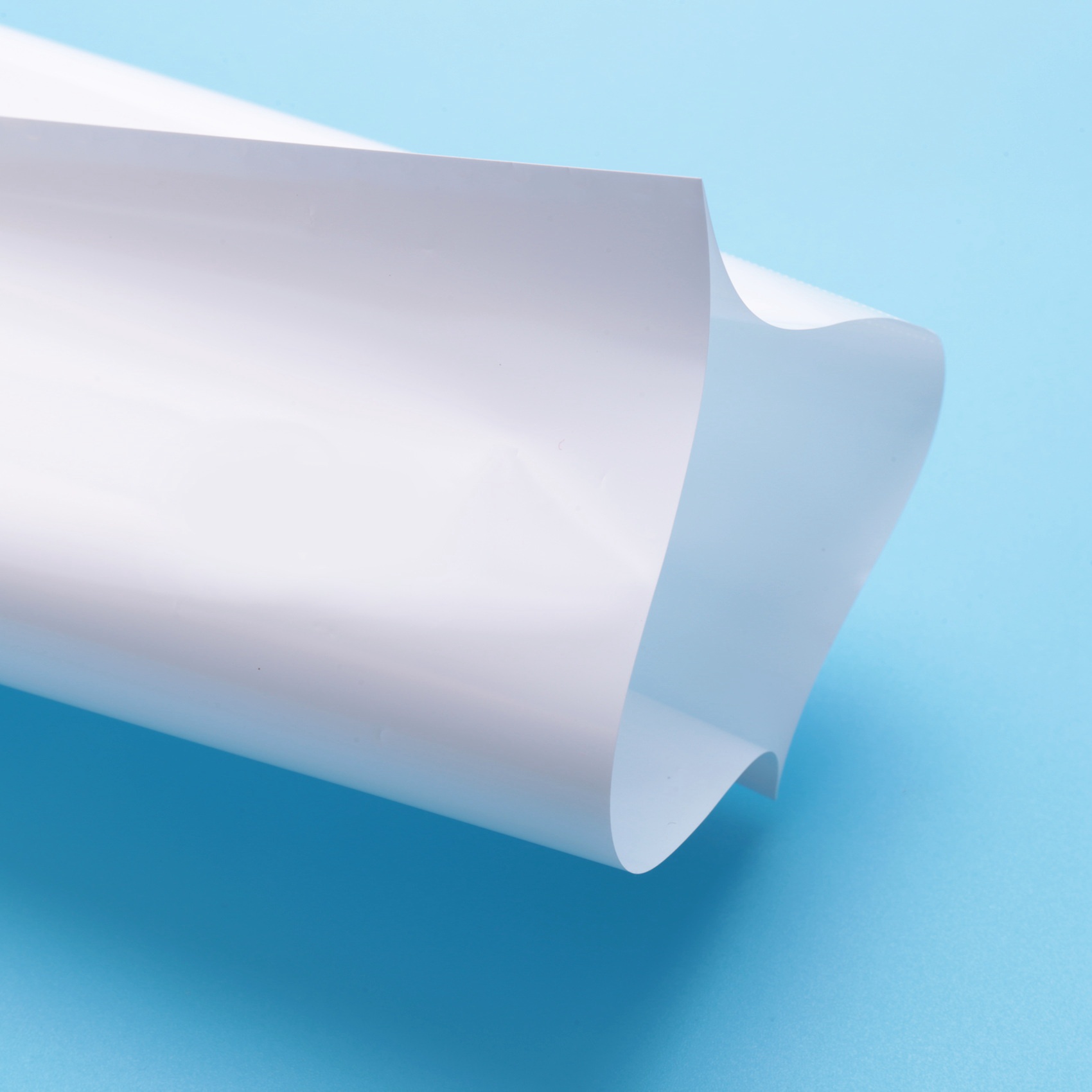 AEE3-30Pcs Sublimation Shrink  - Sublimation Mug White review and price