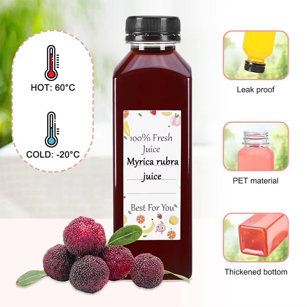 500ML Juice Bottles with Caps  - Water Bottle Blank review and price