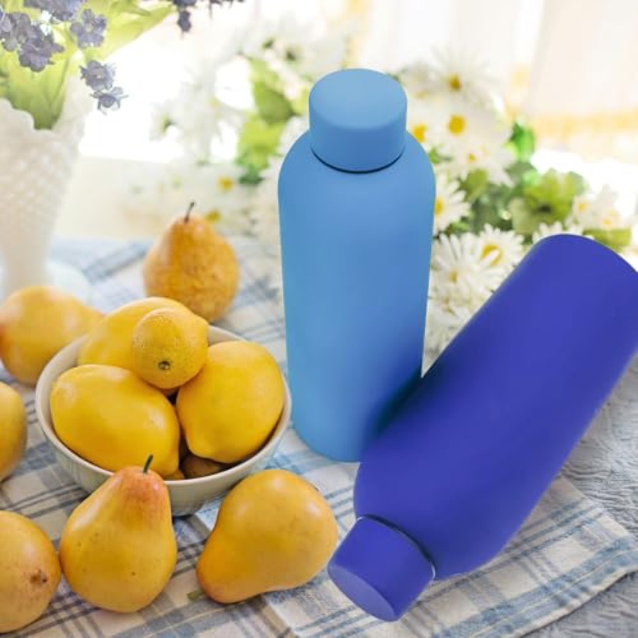 16 Pack Stainless Steel Insula - Water Bottle Blank review and price
