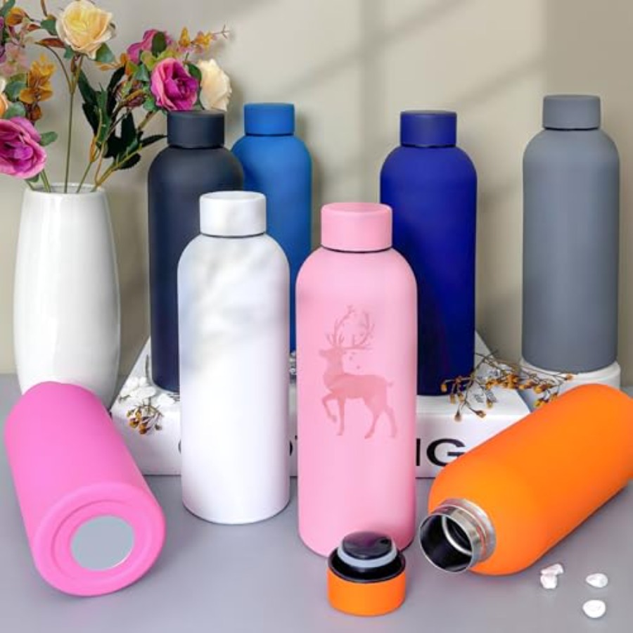 16 Pack Stainless Steel Insula - Water Bottle Blank review and price