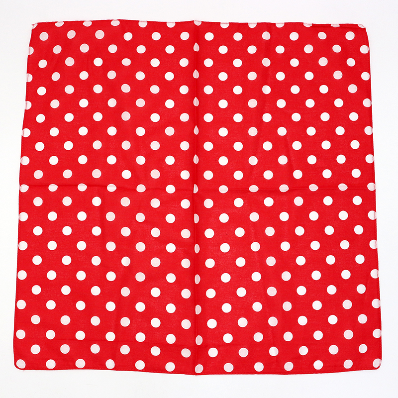 Basic Red/White/Black/Navy Dot - Bandana Blank White review and price